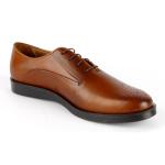 Colossus Camel Cuir