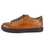 Cooper Camel