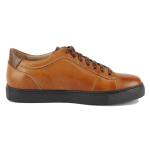 Cooper Camel