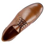Everett Camel Cuir