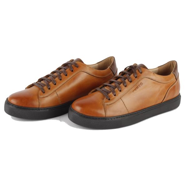 Cooper Camel