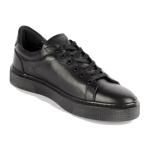 Basket Homme Spike
