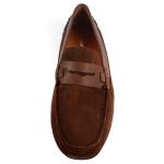 Verdin Daim Marron