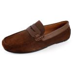 Verdin Daim Marron