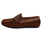 Verdin Daim Marron