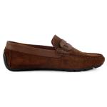 Verdin Daim Marron