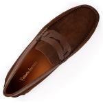 Verdin Daim Marron
